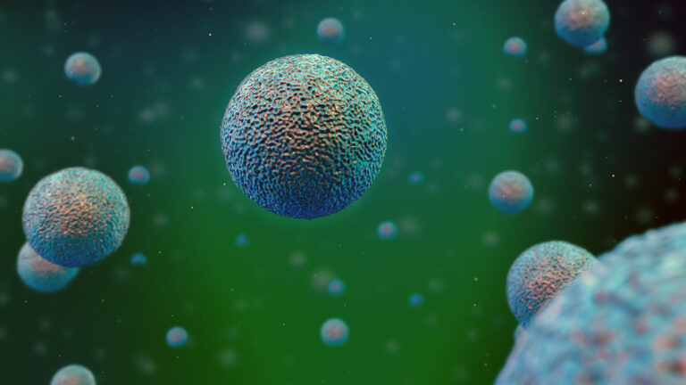 Biology cells under a microscope