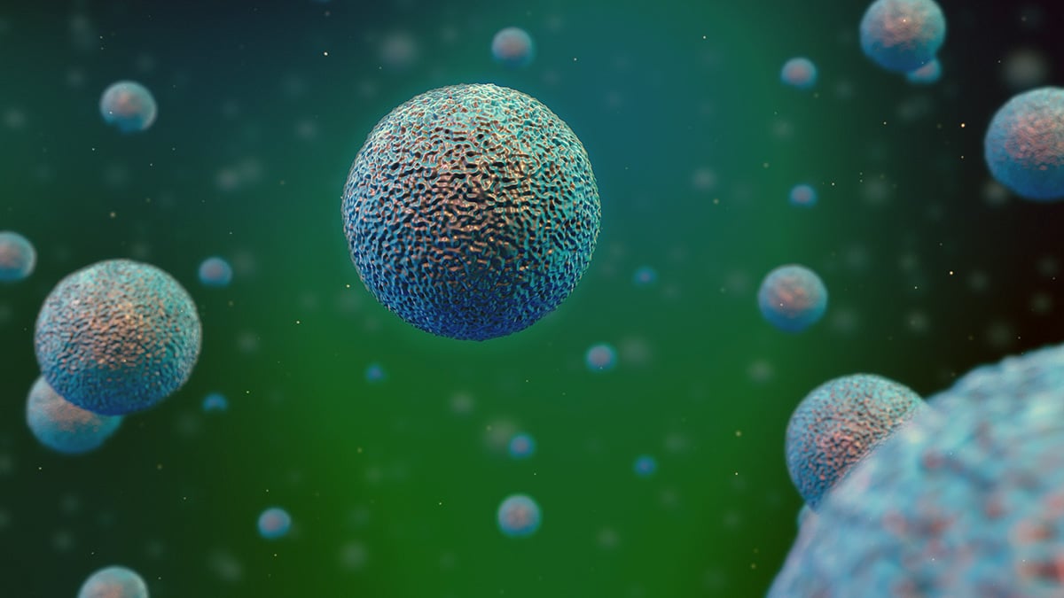 Biology cells under a microscope