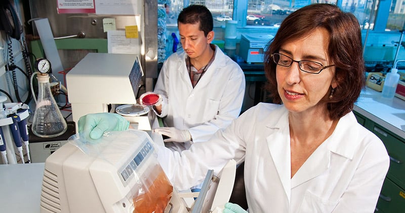 Food technologists working in a lab